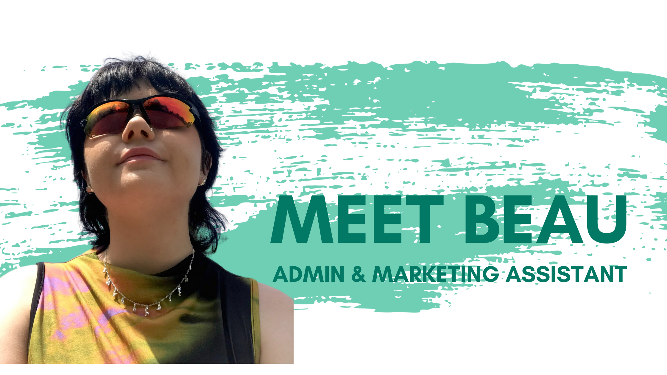Meet Beau Blog Banner (1)